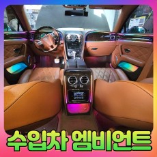 수입차엠비언트(옵션선택) 장착비포함가