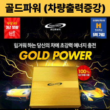 골드파워(차량출력증강) 장착비포함가