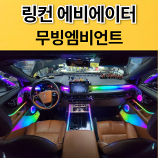 링컨에비에이터 무빙엠비언트 (옵션선택) 장착비포함가