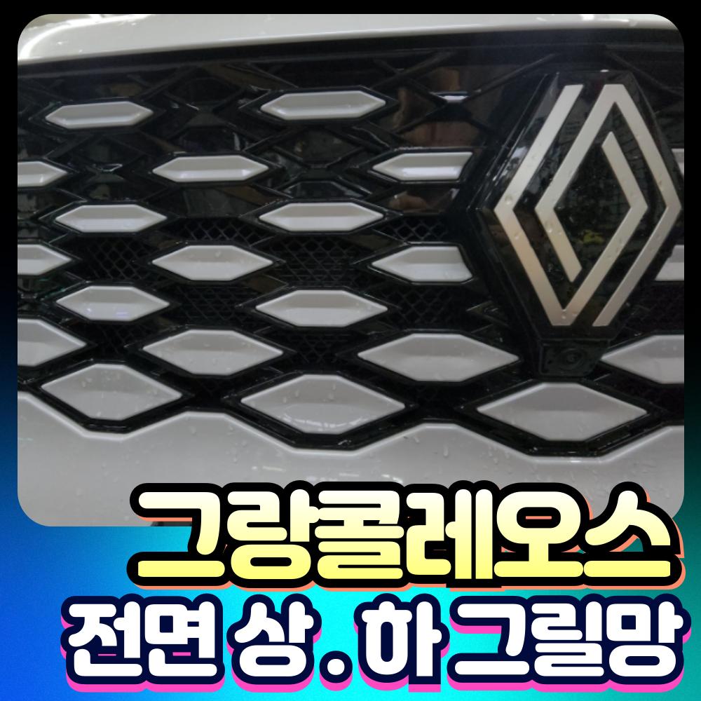 그랑콜레오스 상.하 전면 그릴망  장착비포함가